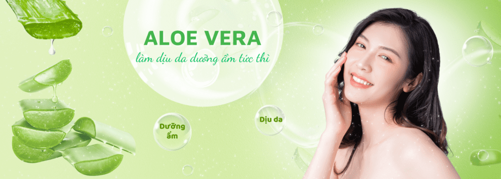 Aloe Vera (Nha Đam): Bí Quyết Từ Thiên Nhiên Cho Làn Da Hoàn Hảo #4 web 2 1