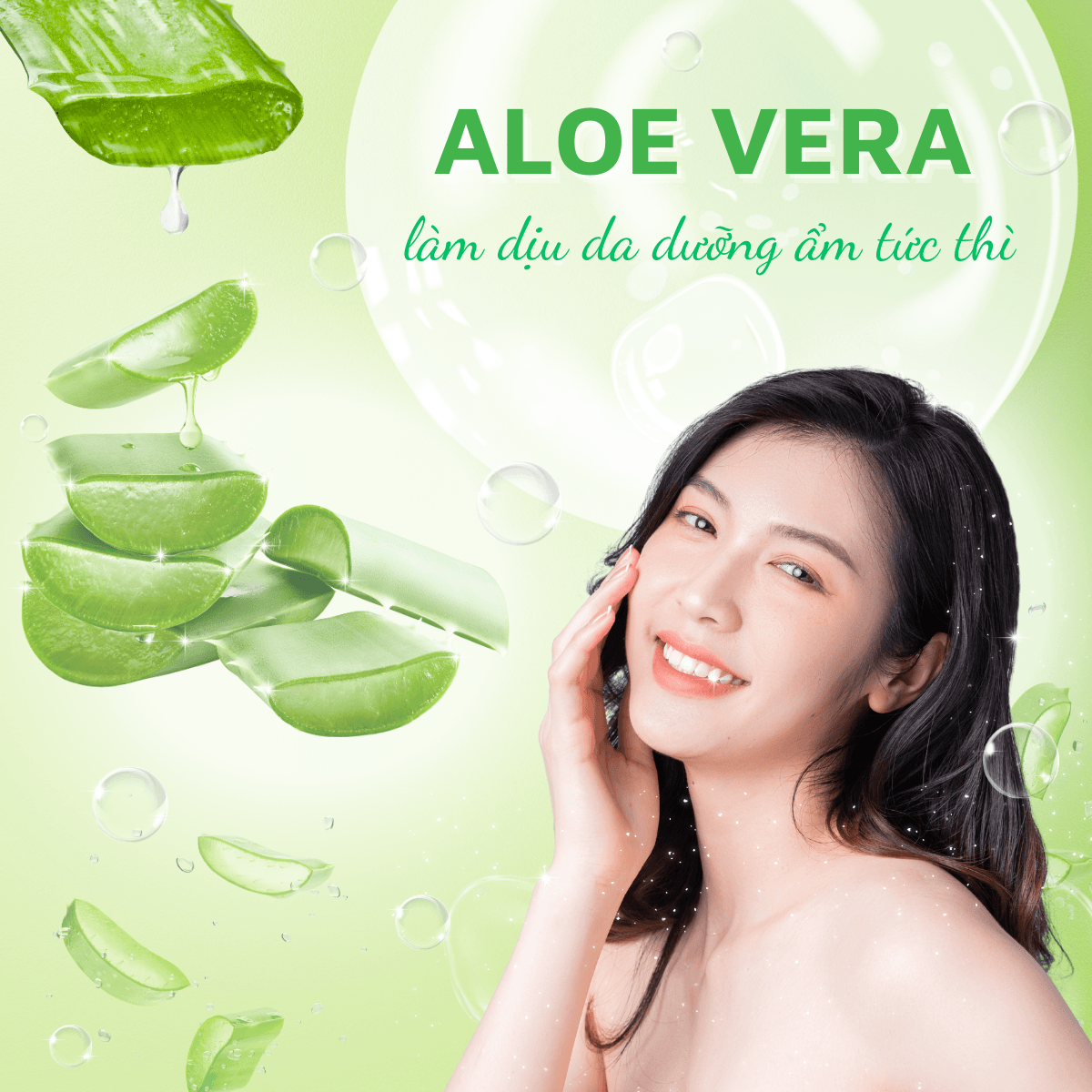 Aloe Vera (Nha đam) trong chăm sóc da